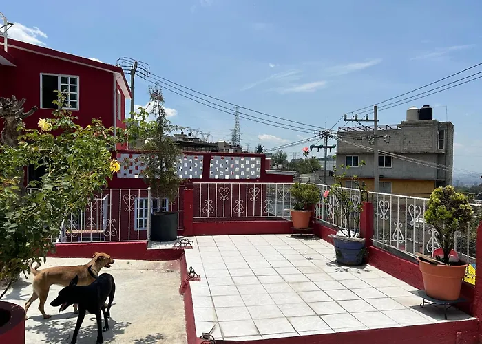 Comoda Habitacion Homestay Mexico City