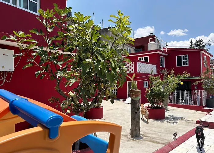 Comoda Habitacion Mexico City